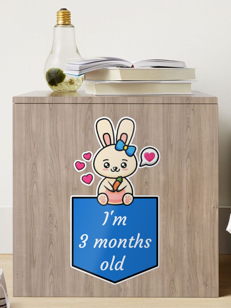 Baby boy milestone 3 month  Sticker for Sale by CoolAR