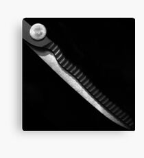 Scissors Canvas Print