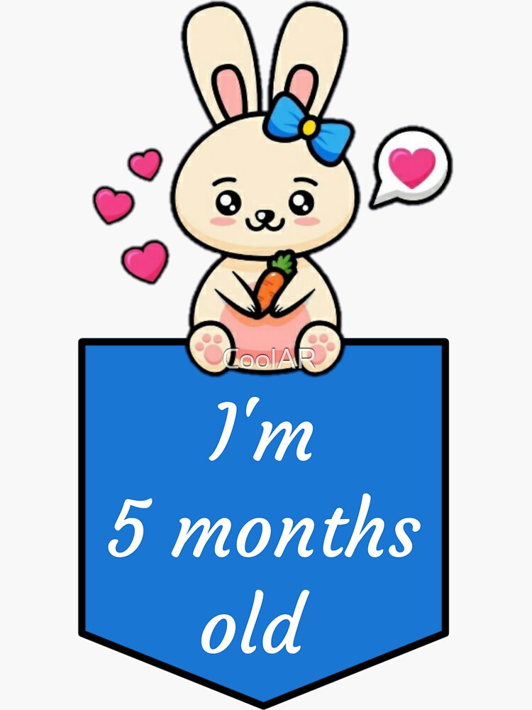 Baby Boy Monthly Stickers