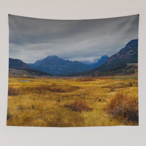 Item preview, Yellowstone National Park in Fall. Moody Skies. designed and sold by Gilby-Designs.