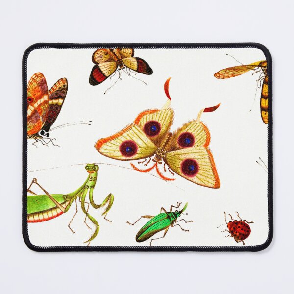 Item preview, Chinese Insect Drawing designed and sold by TheArtShop0528.