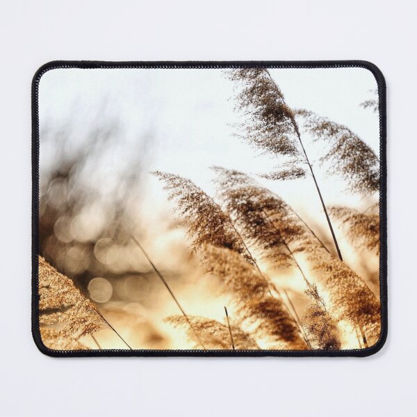 Item preview, Golden Reeds designed and sold by FreshOutTheBox.