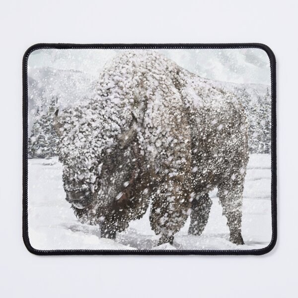 Item preview, Yellowstone Winter Bison designed and sold by atomicblizzard.