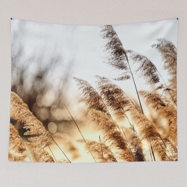 Tapestry