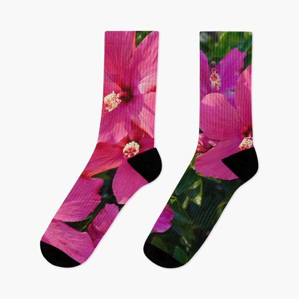 Aperçu de l'œuvre Fleurs d'hibiscus créée et vendue par Douglas E. Welch Design and Photography.