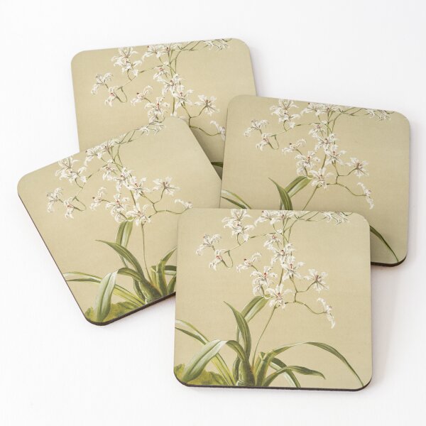 Item preview, Reichenbachia: Orchids Illustrated and Described designed and sold by EsotericBotanic.