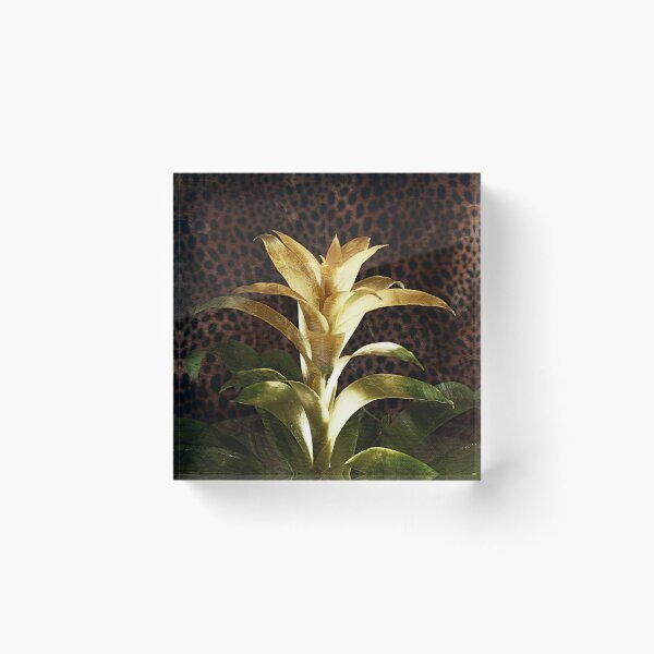 Item preview, Yellow Bromeliad  designed and sold by LisaUSA.