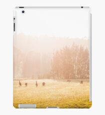Kangaroos at sunrise iPad Case/Skin