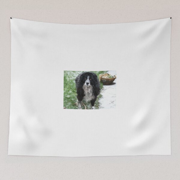 Item preview, Molly the collie designed and sold by demor44.