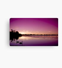 Obliging Swans and Sinking Suns Canvas Print