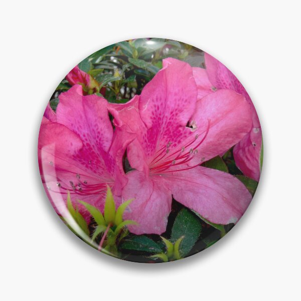 Item preview, Pink Azaleas designed and sold by Monika's Shop.