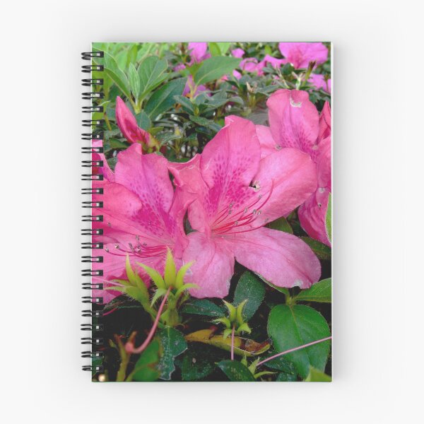 Item preview, Pink Azaleas designed and sold by Monika's Shop.