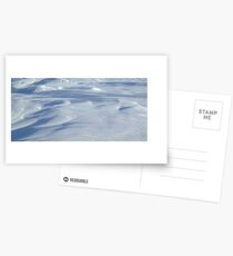 Wind Sculpted Snow Postcards