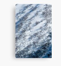 Lone Rider Canvas Print