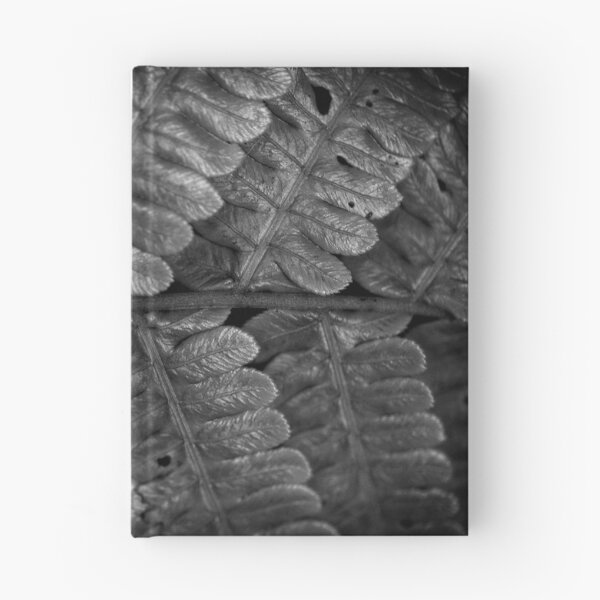 Item preview, Origins of Symmetry designed and sold by Tristan Barrington Photography.
