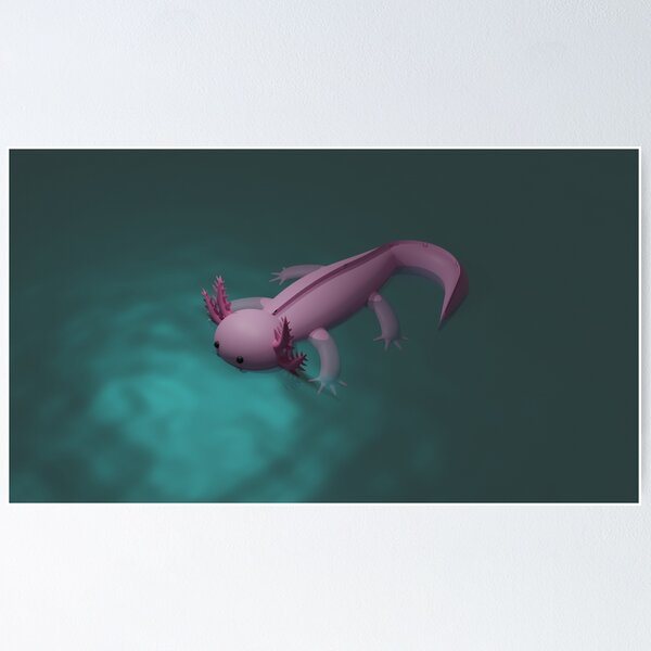 Item preview, 3D Axolotl designed and sold by Ísabella Ævarsdóttir.