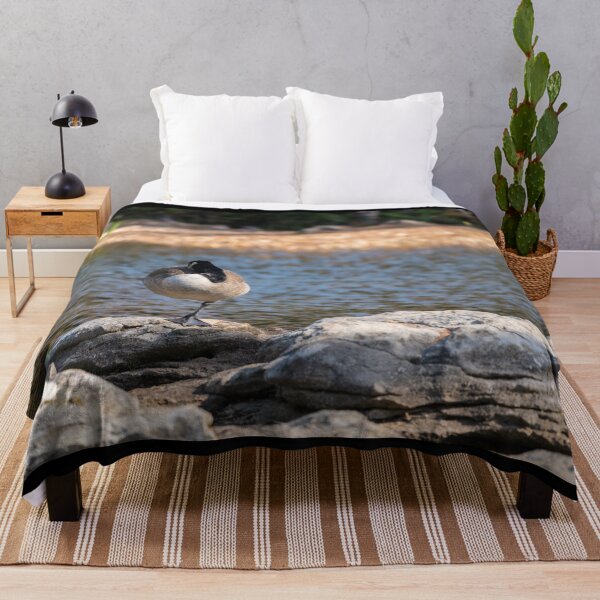 Item preview, Canadian Goose Sleeping On One Leg designed and sold by mljdwhite.
