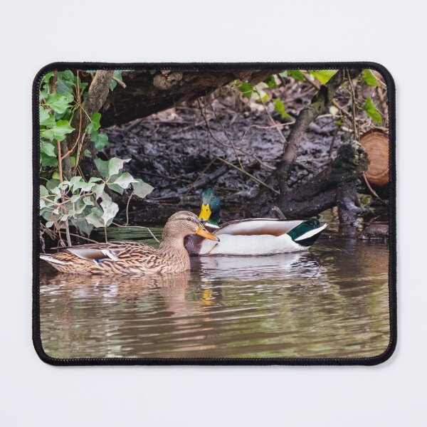 Item preview, Wild ducks designed and sold by yackers1.