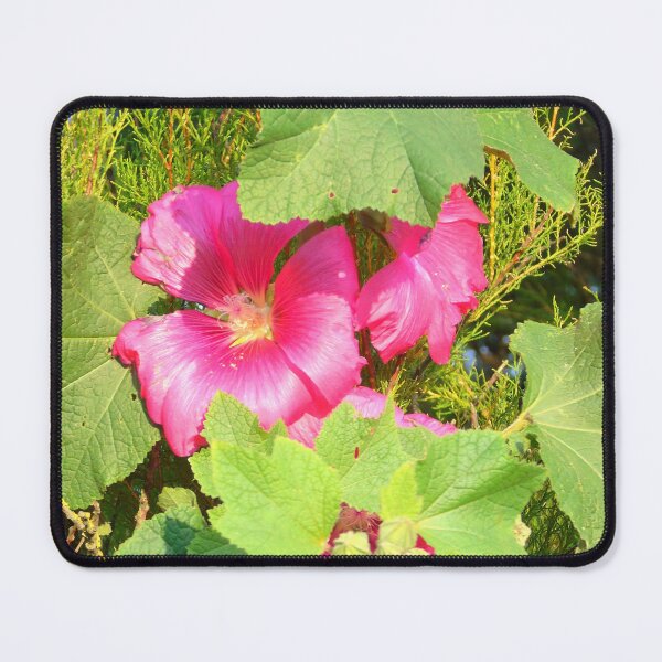 Item preview, Fuschia pink designed and sold by ART22.