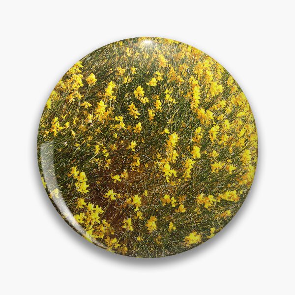Item preview, Forsythia in Apple Valley, CA designed and sold by Shulie1.