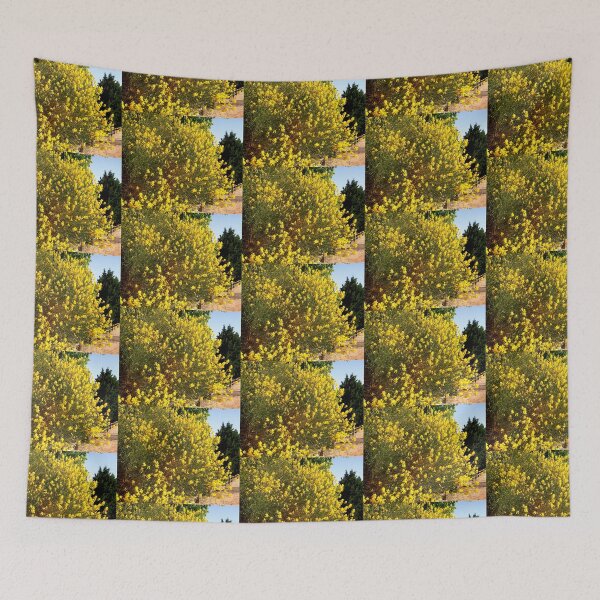 Item preview, Forsythia in Apple Valley, CA designed and sold by Shulie1.