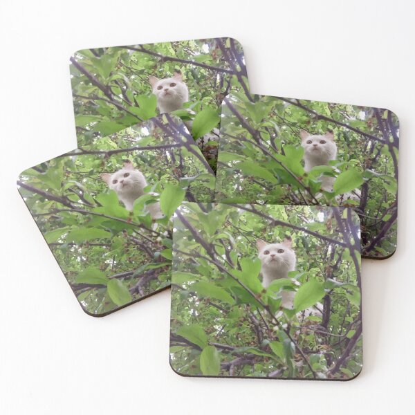 Item preview, cute cat, hunter cat, love catually. designed and sold by Design Universe.