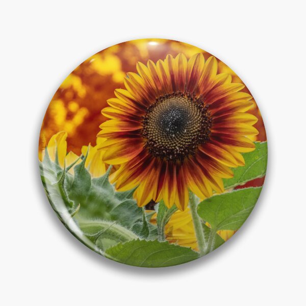 Item preview, Sunflower Abstract designed and sold by barkeypf.