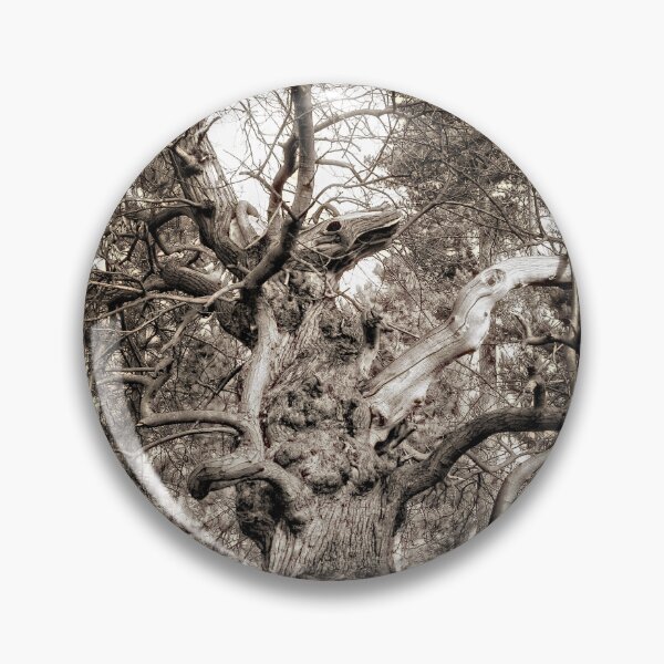 Item preview, Gnarled Tree designed and sold by Photography & Emotive Ai.