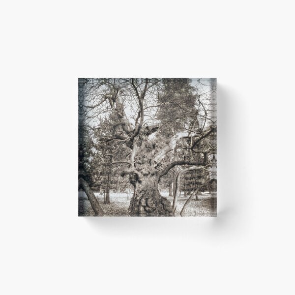 Artikelvorschau,  in der Nähe von Bury St Edmonds entworfen und verkauft von Photography & Emotive Ai.