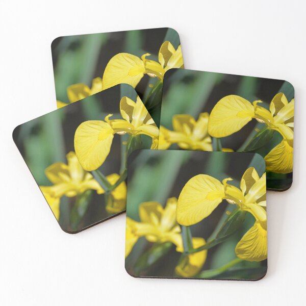 Item preview, Yellow Dutch Iris designed and sold by Richard Nix.
