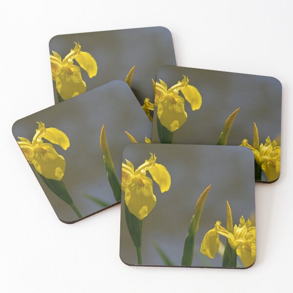 Item preview, Yellow Dutch Iris designed and sold by Richard Nix.