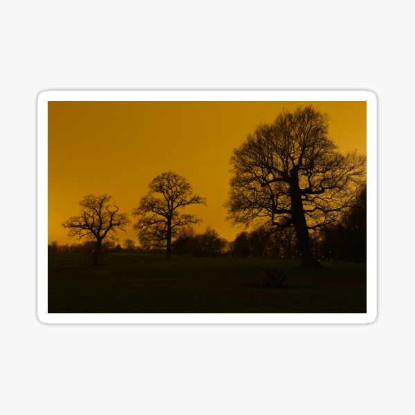 Night Trees Orange Sticker