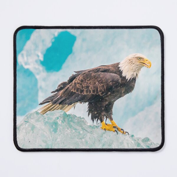 Item preview, bald eagle  designed and sold by Ettenhuber.