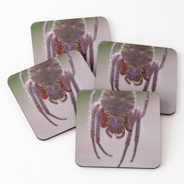 Item preview, Orb Weaver Spider Hanging out in the Bush! designed and sold by Mickangelhere.