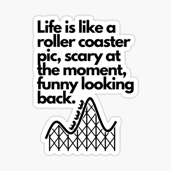 life-is-like-a-roller-coaster-pic-scary-at-the-moment-funny-looking