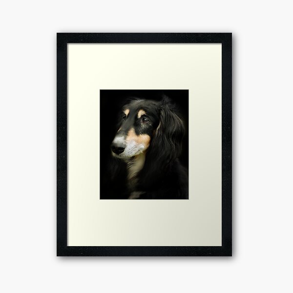 The Saluki Framed Art Print