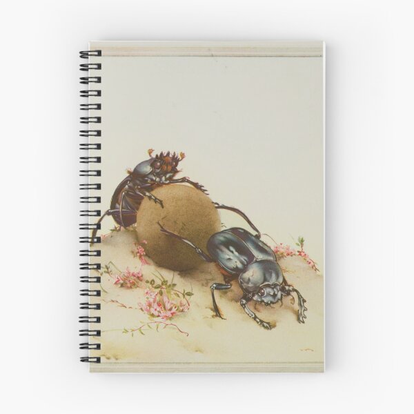 Item preview, The Sacred Beetle, -Edward Julius Detmold designed and sold by Bastett.