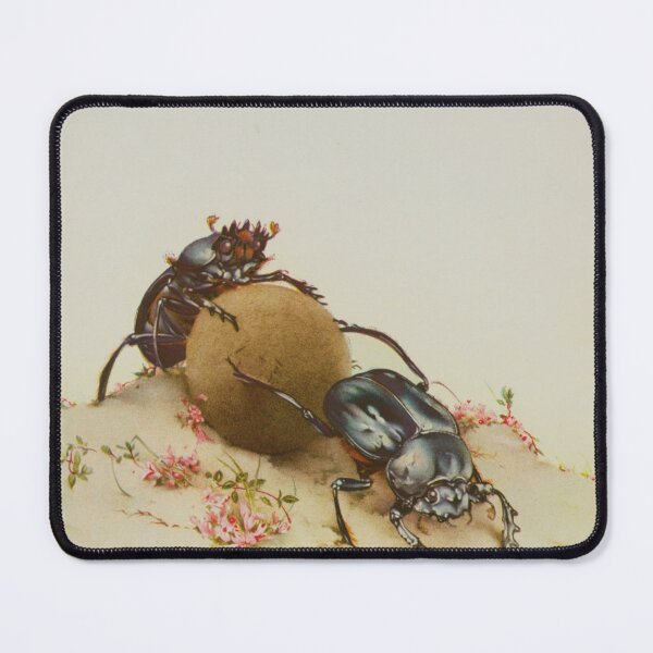 Item preview, The Sacred Beetle, -Edward Julius Detmold designed and sold by Bastett.