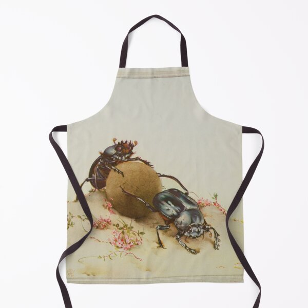 Item preview, The Sacred Beetle, -Edward Julius Detmold designed and sold by Bastett.