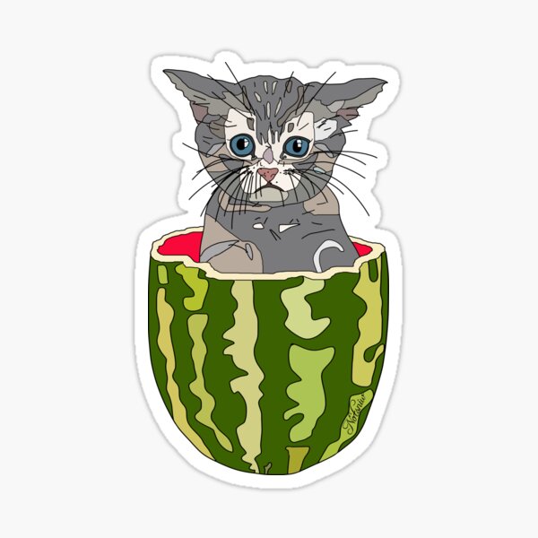 Produits Sur Le Theme Chaton Past C3 A8que Redbubble