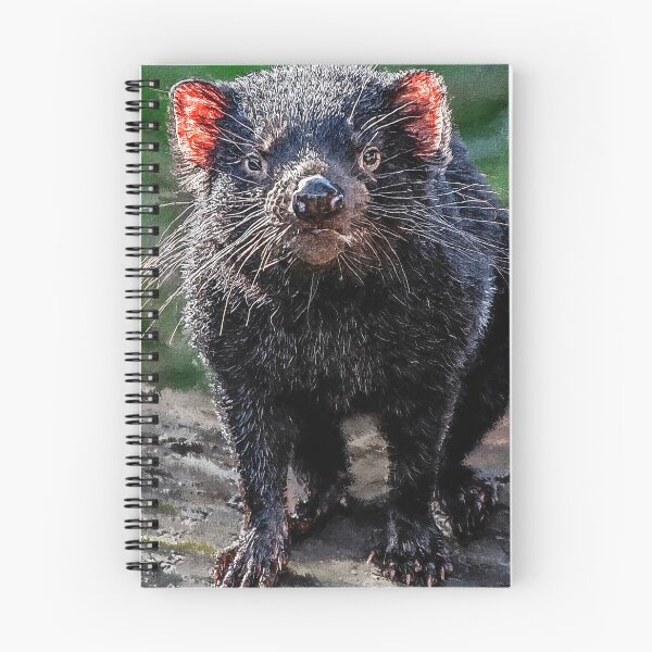 Item preview, Cute Tasmanian Devil oil paint, Adorable Australian Tasmanian Devil , Australian Animals Drawing, Tasmanian Devil Art designed and sold by Paintcorner.