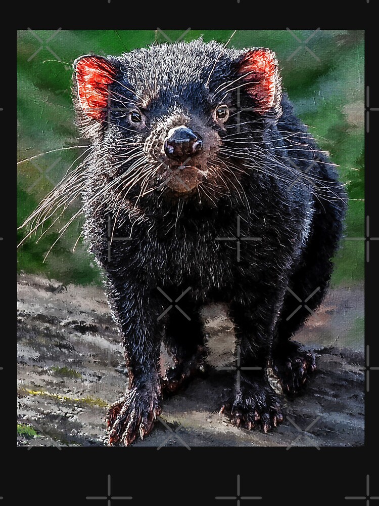"Cute Tasmanian Devil oil paint, Adorable Australian Tasmanian Devil