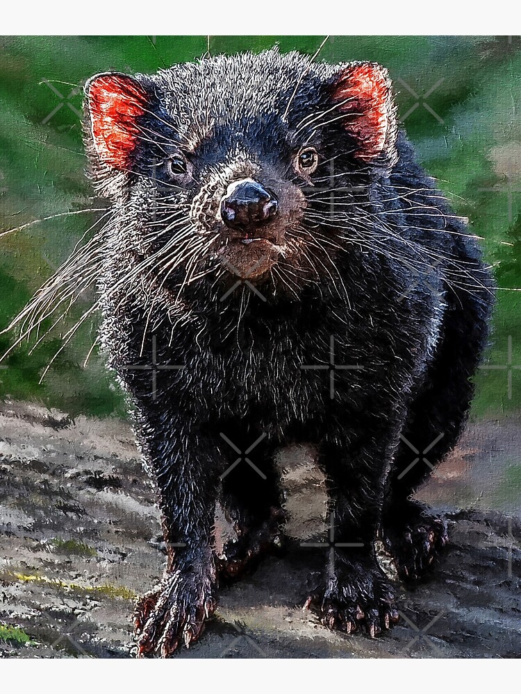"Cute Tasmanian Devil oil paint, Adorable Australian Tasmanian Devil