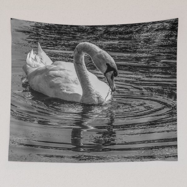 Item preview, Monochromatic Swan designed and sold by passion4photos.
