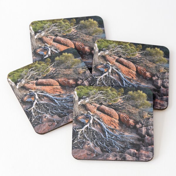 Item preview, Fallen tree designed and sold by andreisky.
