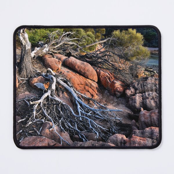 Item preview, Fallen tree designed and sold by andreisky.