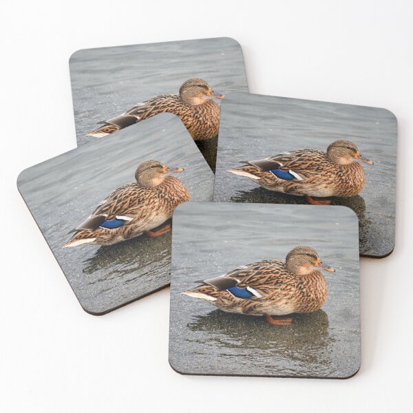 Item preview, Ms. Mallard Female Duck Hen in Evening Light designed and sold by SeaChangeDesign.