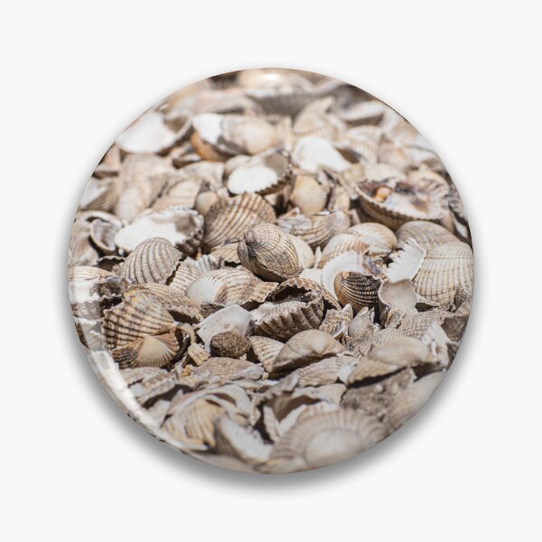 Item preview, Seashells designed and sold by Duncan Day.