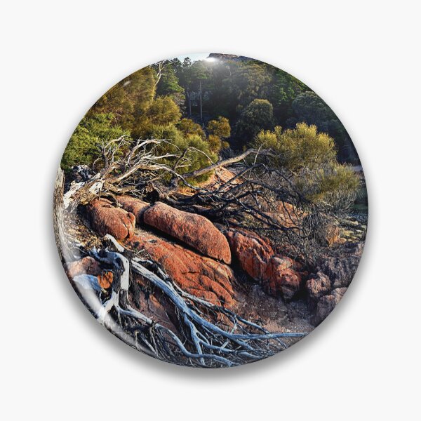 Item preview, Fallen tree pano designed and sold by andreisky.