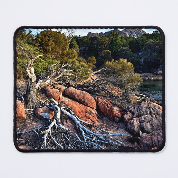 Item preview, Fallen tree pano designed and sold by andreisky.